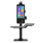 Histone Hs520T