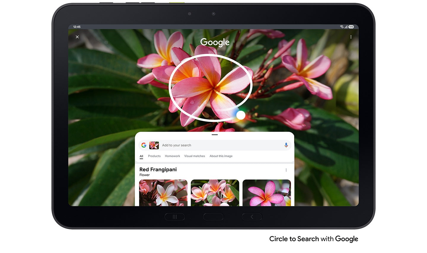 Samsung Galaxy Tab Active5 Pro 5G (10.1")